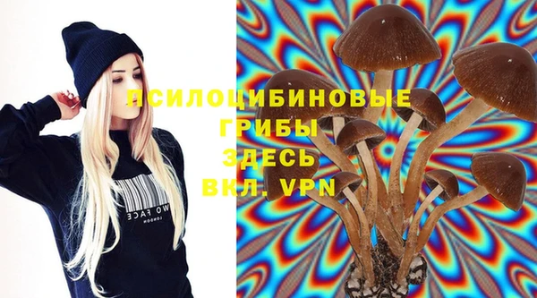 мдпв Абинск